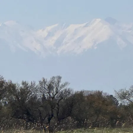 Escale Sud