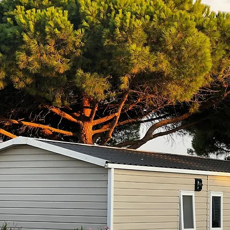 Escale Sud *